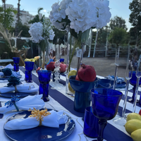 כוס יין מזכוכית כחולה  - סט של 6